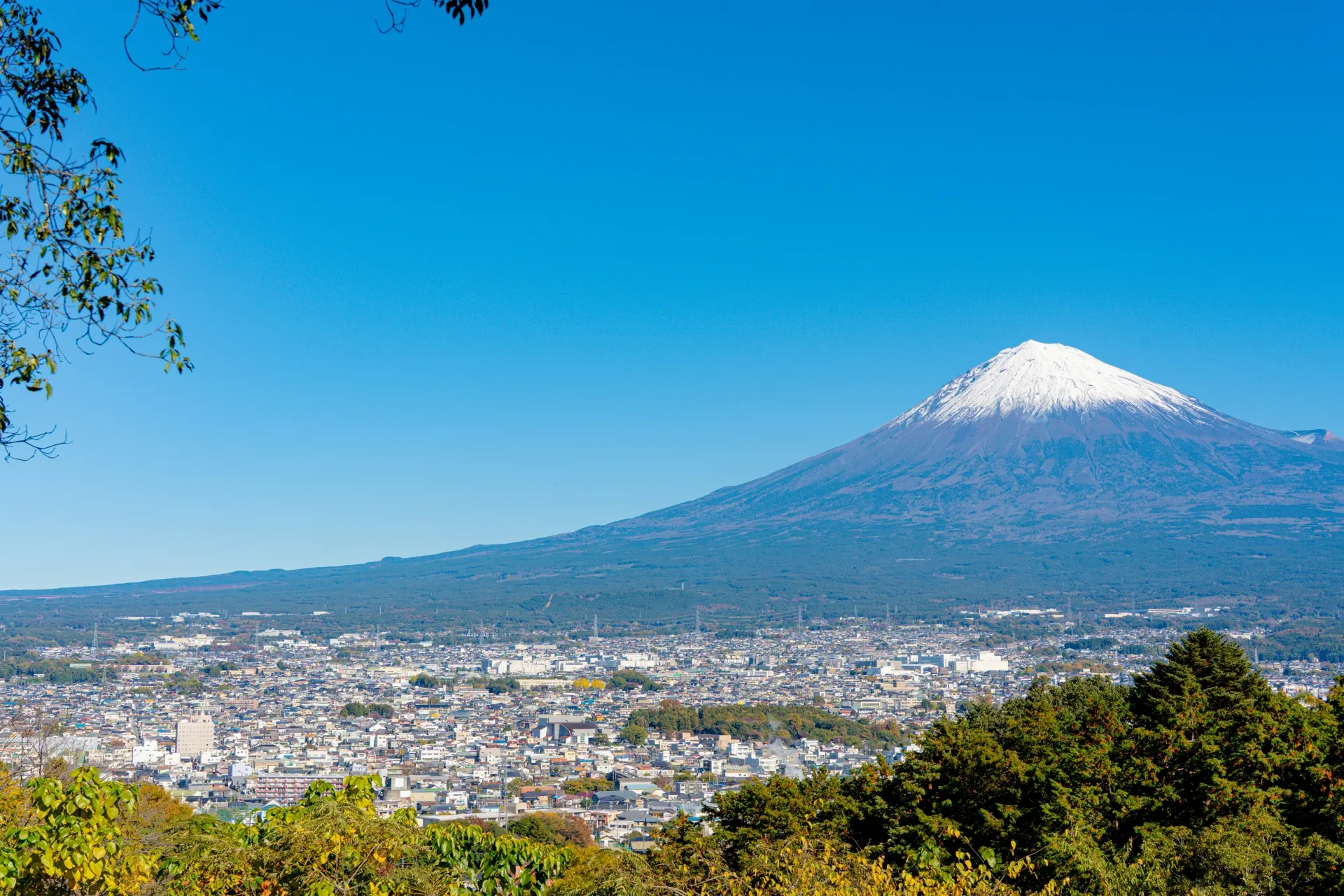 富士山を望む静岡県の住宅街の眺め